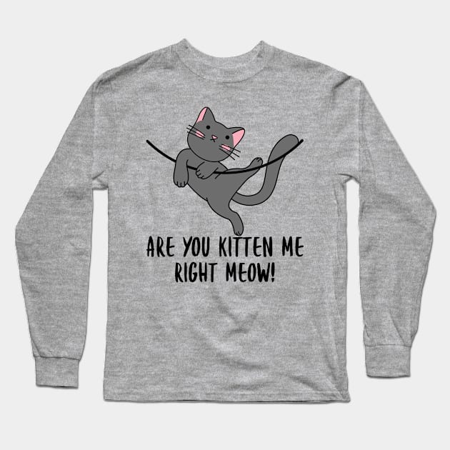 Are You Kitten Me Right Meow Long Sleeve T-Shirt by PorcupineTees